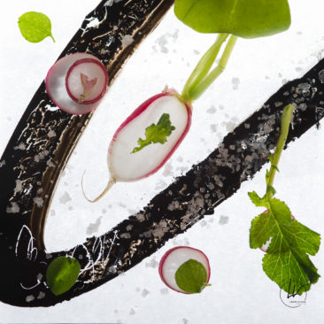 Photographe culinaire - Art à déguster - radis croque au sel N° 2 - Bourgogne