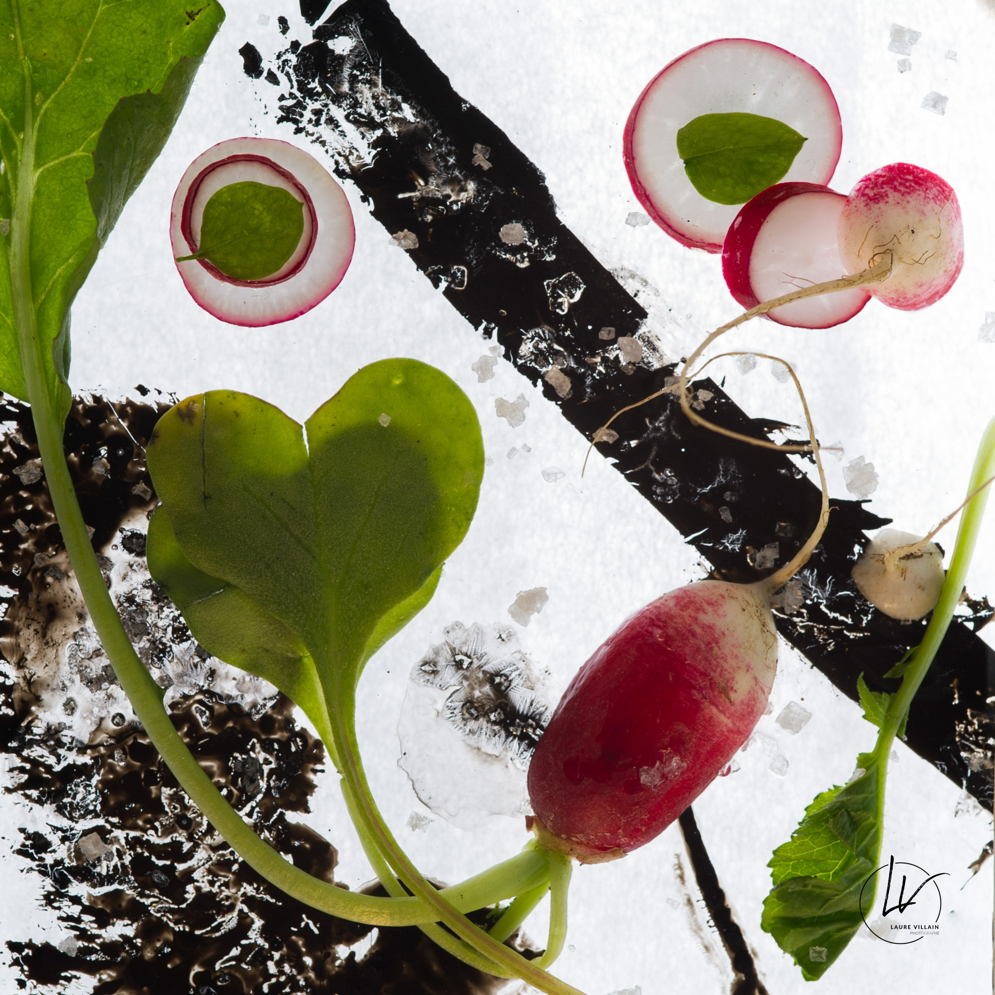 Photographe culinaire - Art à déguster - radis croque au sel N° 1 - Bourgogne