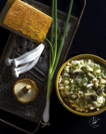 Photographe culinaire bourgogne / cuisine italienne /risotto champignon