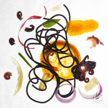 Photographe culinaire - Art à déguster - Spaghettis et poulpes aux agrûmes N° 3 - Bourgogne