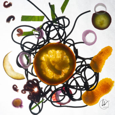 Photographe culinaire - Art à déguster - Spaghettis et poulpes aux agrûmes N° 1 - Bourgogne