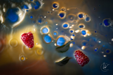 FIPC 2022 / Photographe culinaire Bourgogne
