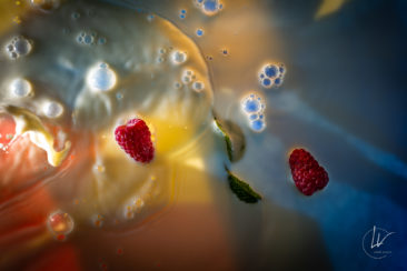 FIPC 2022 / Photographe culinaire Bourgogne