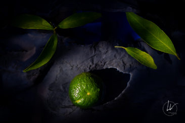 Recherche personnelle - photographie culinaire citron vert