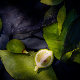 Recherche personnelle - photographie culinaire citron vert