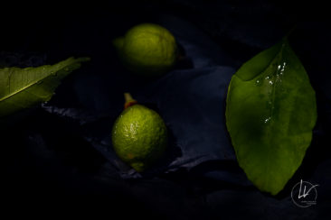 Recherche personnelle - photographie culinaire citron vert