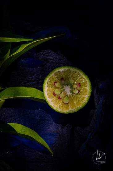 Recherche personnelle - photographie culinaire citron vert