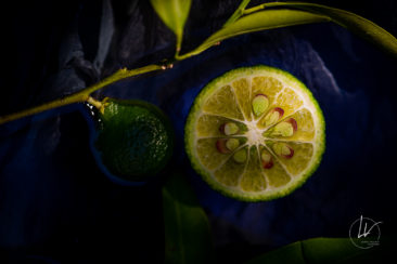 Recherche personnelle - photographie culinaire citron vert
