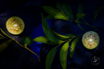 Recherche personnelle - photographie culinaire citron vert