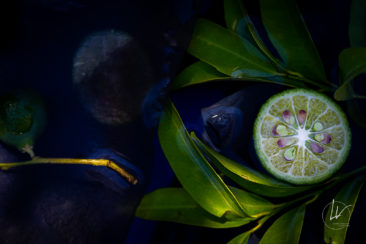 Recherche personnelle - photographie culinaire citron vert