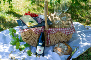 Photographie vin réseaux sociaux Compagnie de Burgondie Picnic