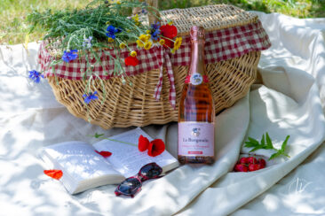 Photographie vin réseaux sociaux Compagnie de Burgondie Picnic
