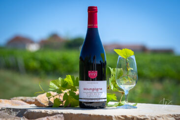 Photographie vin réseaux sociaux Compagnie de Burgondie Vignes