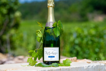 Photographie vin réseaux sociaux Compagnie de Burgondie Vignes