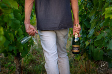 Photographie vin réseaux sociaux Compagnie de Burgondie Vignes