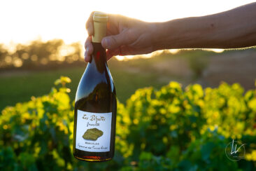 Photographie vin réseaux sociaux Compagnie de Burgondie Vignes