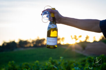 Photographie vin réseaux sociaux Compagnie de Burgondie Vignes