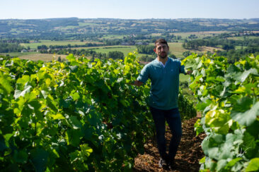 Photographie vin / domaine vincent royet Couches / Bourgogne