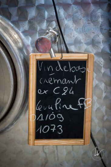 Photographie vin / domaine vincent royet Couches / Bourgogne / Vendanges