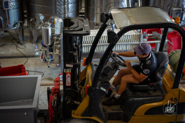 Photographie vin / domaine vincent royet Couches / Bourgogne / Vendanges