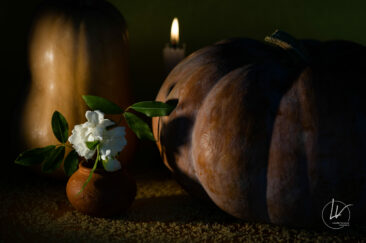Recherche personnelle - photographie culinaire