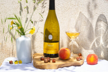 Ambiances bouteilles & accords mets et vins : un shooting pour Millebuis