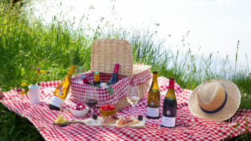 Ambiances bouteilles & accords mets et vins : un shooting pour Millebuis