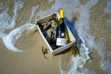 Ambiances bouteilles & accords mets et vins : un shooting pour Millebuis
