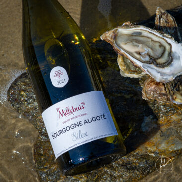 Ambiances bouteilles & accords mets et vins : un shooting pour Millebuis