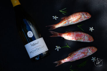 Ambiances bouteilles & accords mets et vins : un shooting pour Millebuis