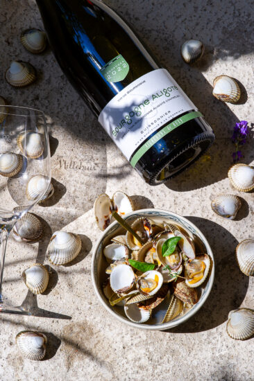 Ambiances bouteilles & accords mets et vins : un shooting pour Millebuis