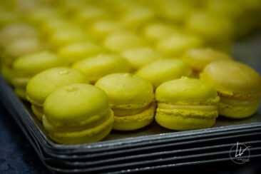 Photographe culinaire - reportage métier chocolatier Allex Chalon-sur-Saône