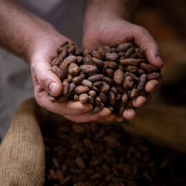Photographe culinaire - reportage métier chocolatier Allex Chalon-sur-Saône