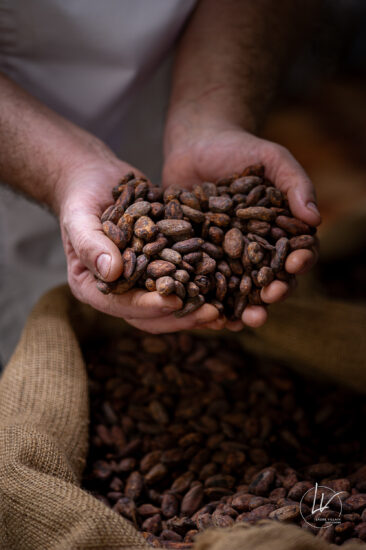 Photographe culinaire - reportage métier chocolatier Allex Chalon-sur-Saône