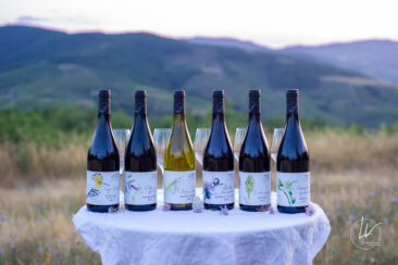 ambiance bouteille avbb beaujolais biodiversité des vignes