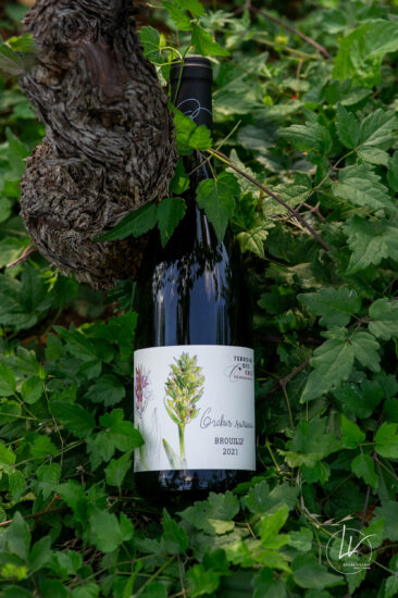ambiance bouteille avbb beaujolais biodiversité des vignes