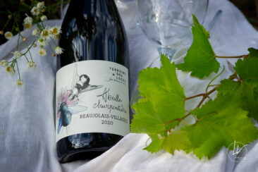 ambiance bouteille avbb beaujolais biodiversité des vignes