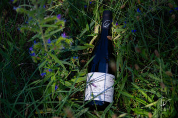 ambiance bouteille avbb beaujolais biodiversité des vignes