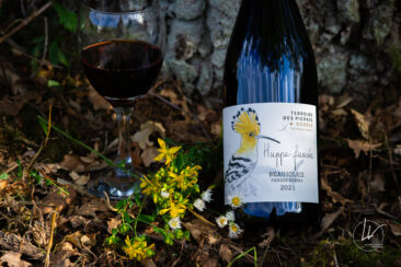 ambiance bouteille avbb beaujolais biodiversité des vignes