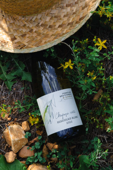 ambiance bouteille avbb beaujolais biodiversité des vignes