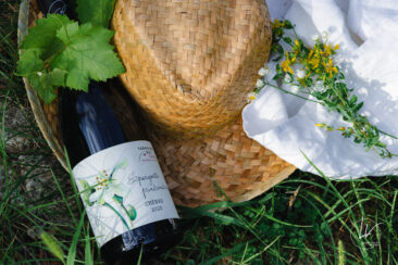 ambiance bouteille avbb beaujolais biodiversité des vignes