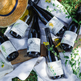 ambiance bouteille avbb beaujolais biodiversité des vignes