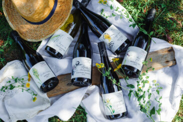 ambiance bouteille avbb beaujolais biodiversité des vignes