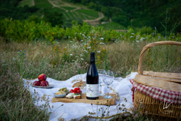 ambiance bouteille avbb beaujolais biodiversité des vignes