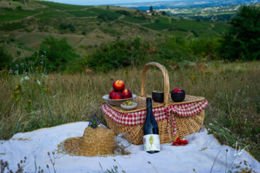 ambiance bouteille avbb beaujolais biodiversité des vignes