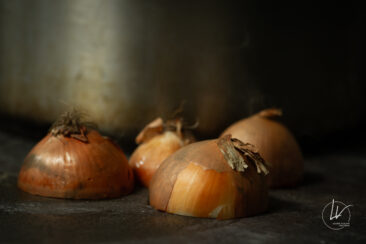 Shooting culinaire restaurant été