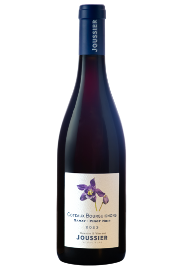 packshot-bouteille-domaine-eveche