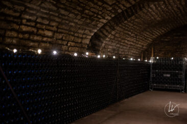 Photographe viticole / Photographe vin pour le domaine lefort à Rully / Bourgogne
