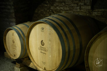 Photographe viticole / Photographe vin pour le domaine lefort à Rully / Bourgogne