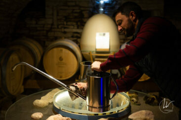 Photographe viticole / Photographe vin pour le domaine lefort à Rully / Bourgogne